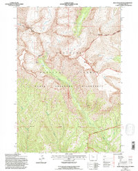 Dead Indian Peak 1991 topographic map thumbnail