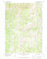 Devils Hole Creek 1967 topographic map thumbnail