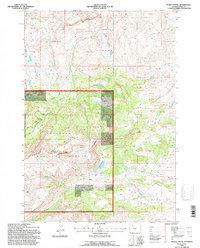 Devils Tooth 1991 topographic map thumbnail