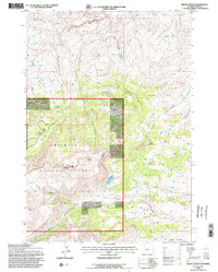 Devils Tooth 1991 topographic map thumbnail