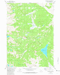 Dickinson Park 1981 topographic map thumbnail