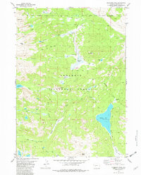 Dickinson Park 1981 topographic map thumbnail
