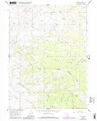 Divide Peak 1961 topographic map thumbnail