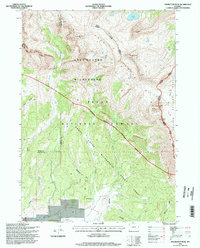 Doubletop Peak 1996 topographic map thumbnail