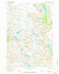 Downs Mountain 1968 topographic map thumbnail
