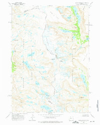 Downs Mountain 1968 topographic map preview