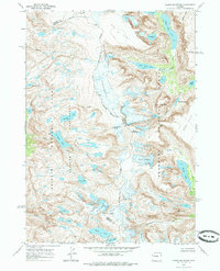 Downs Mountain 1968 topographic map thumbnail