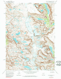 Downs Mountain 1968 topographic map thumbnail