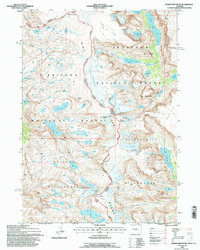 Downs Mountain 1991 topographic map thumbnail