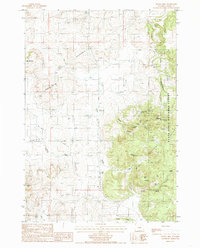 Duling Hill 1984 topographic map preview