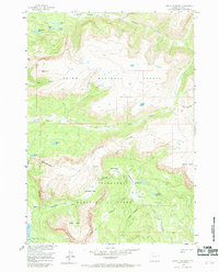 Dundee Meadows 1956 topographic map thumbnail