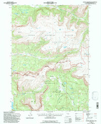 Dundee Meadows 1991 topographic map thumbnail