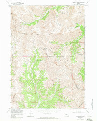 Dunrud Peak 1969 topographic map thumbnail