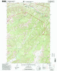 Eagle Creek 1991 topographic map thumbnail