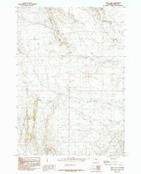 Eagle Pass 1985 topographic map thumbnail