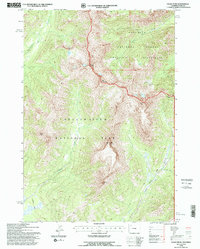 Eagle Pass 1991 topographic map thumbnail