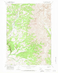 East Fork Basin 1967 topographic map thumbnail