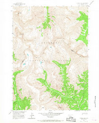 Emerald Lake 1956 topographic map thumbnail