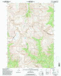 Emerald Lake 1991 topographic map thumbnail