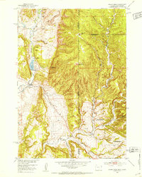 Fanny Peak 1951 topographic map preview