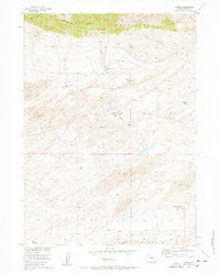 Ferris 1953 topographic map thumbnail