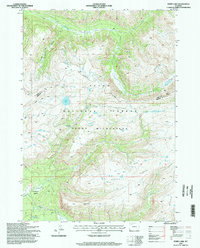 Ferry Lake 1996 topographic map thumbnail