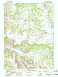 Firehole Basin 1987 topographic map thumbnail