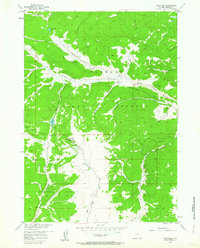 Fish Lake 1956 topographic map thumbnail