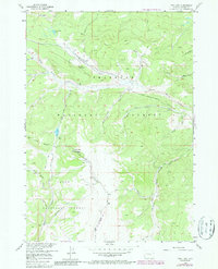 Fish Lake 1956 topographic map thumbnail