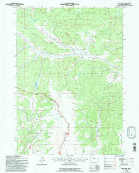 Fish Lake 1991 topographic map thumbnail