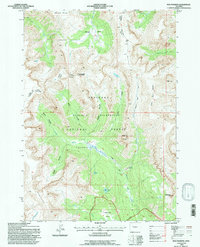 Five Pockets 1991 topographic map thumbnail