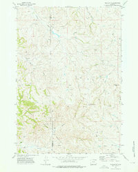 Flag Butte 1972 topographic map preview