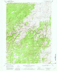 Fletcher Park 1968 topographic map thumbnail
