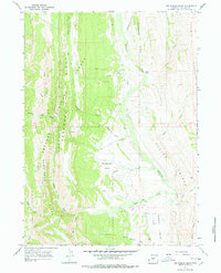 Fontenelle Basin 1967 topographic map preview