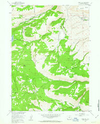 Fossil Hill 1953 topographic map thumbnail