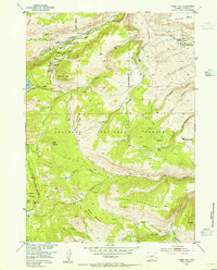 Fossil Hill 1953 topographic map thumbnail