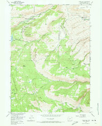 Fossil Hill 1953 topographic map thumbnail