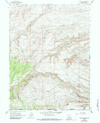 Four J Rim 1963 topographic map thumbnail