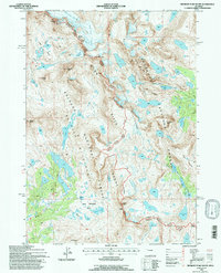 Fremont Peak South 1991 topographic map thumbnail