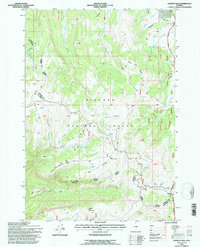 Granite Pass 1993 topographic map thumbnail