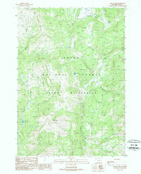 Gravel Peak 1989 topographic map thumbnail