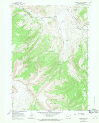 Grizzly Lake 1965 topographic map thumbnail