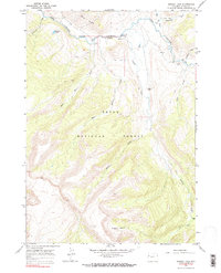 Grizzly Lake 1965 topographic map thumbnail