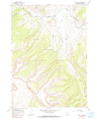 Grizzly Lake 1965 topographic map thumbnail