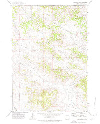 Homestead Draw 1971 topographic map thumbnail