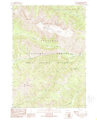 Hurricane Mesa 1989 topographic map thumbnail