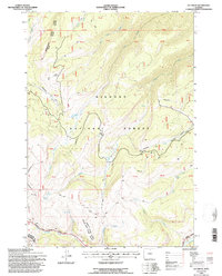 Ice Creek 1993 topographic map thumbnail