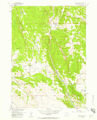 Indian Point 1956 topographic map thumbnail