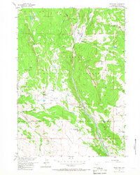 Indian Point 1956 topographic map preview