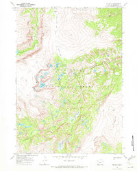 Ink Wells 1968 topographic map thumbnail